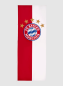 Preview: FC Bayern München - Hissfahne Hochformat Logo 400 x 150 cm